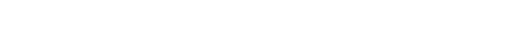 IN-Person Summit