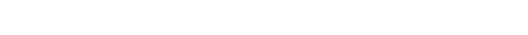 Virtual Summit