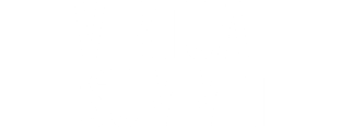 VIRTUAL SUMMIT